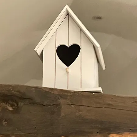 Daire Fachwerk Juwel Melsungen